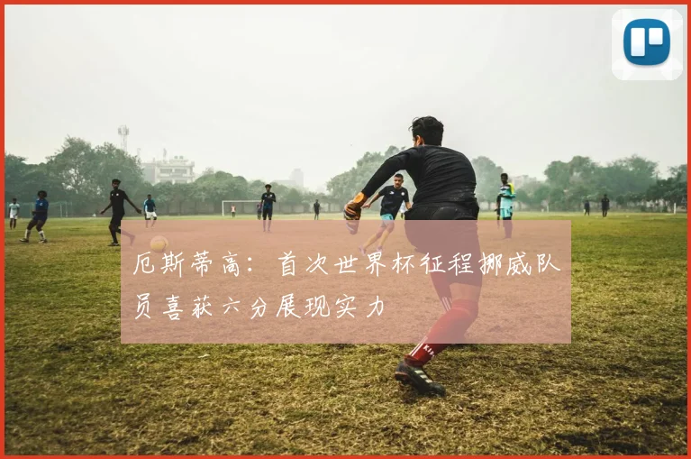 厄斯蒂高：首次世界杯征程挪威队员喜获六分展现实力