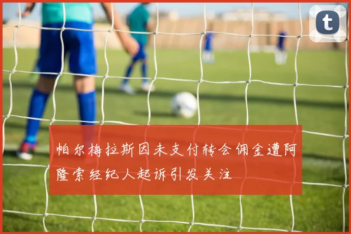 帕尔梅拉斯因未支付转会佣金遭阿隆索经纪人起诉引发关注